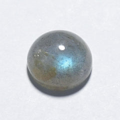 Labradorite(Madagascar) Round Cab