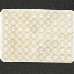 Cabochon 6mm White Moonstone (FI)Round Cab Yau Shing Gems 00055042